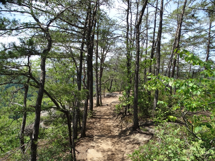 Long Point Trail