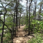 Long Point Trail