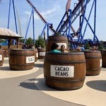 Cargo Loco