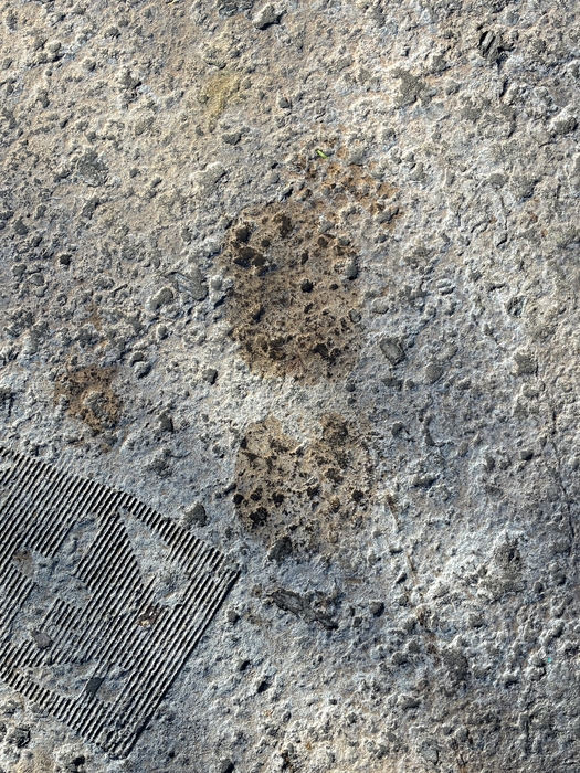 My Footprint