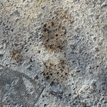 My Footprint