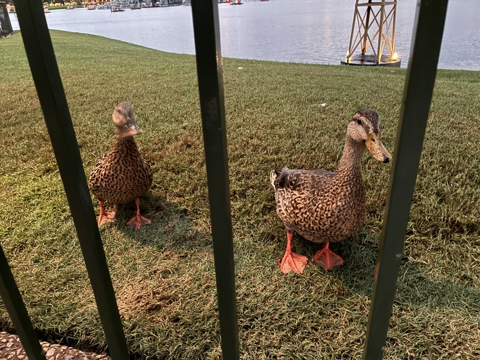 EPCOT