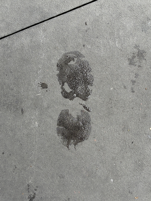 My Footprint