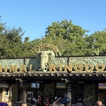 Disney's Animal Kingdom