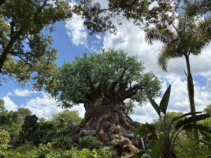 Disney's Animal Kingdom