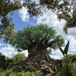 Disney's Animal Kingdom