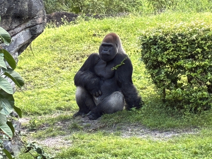 Gorilla Falls Exploration Trails