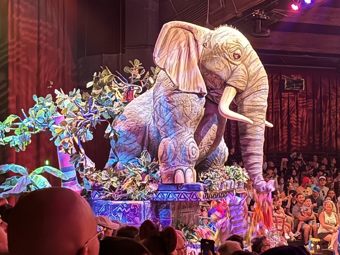 Festival of the Lion King