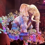 Festival of the Lion King