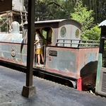 Wildlife Express Train