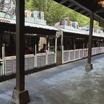 Wildlife Express Train