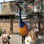 Maharajah Jungle Trek