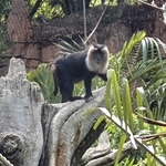 Maharajah Jungle Trek