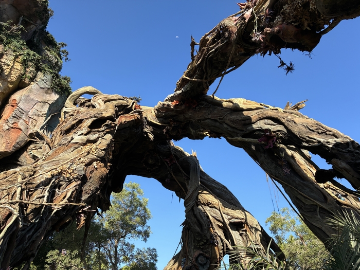 Pandora-The World of Avatar