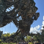 Pandora-The World of Avatar