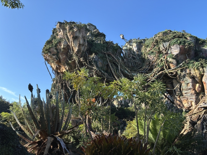 Pandora-The World of Avatar