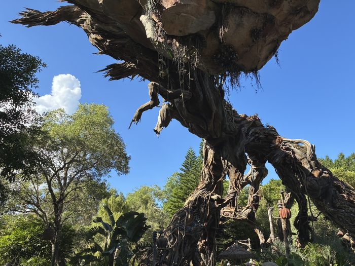 Pandora-The World of Avatar