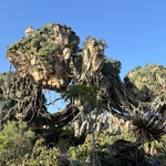 Pandora-The World of Avatar