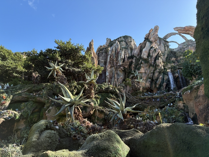 Pandora-The World of Avatar