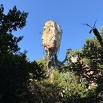 Pandora-The World of Avatar