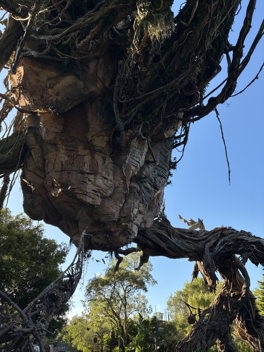 Pandora-The World of Avatar