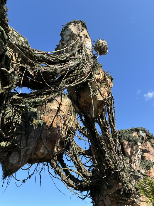 Pandora-The World of Avatar