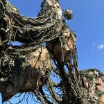 Pandora-The World of Avatar