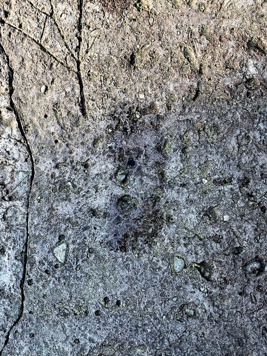 My Footprint