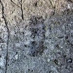 My Footprint