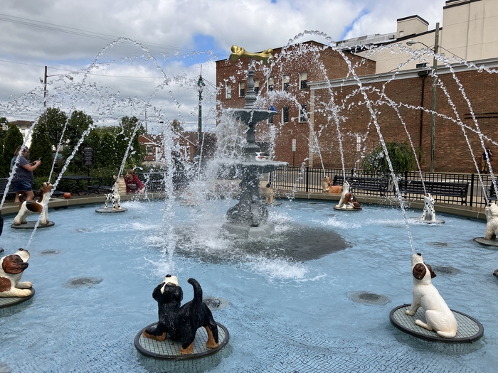 Dog Fountain