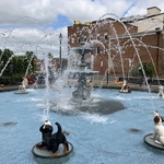 Dog Fountain