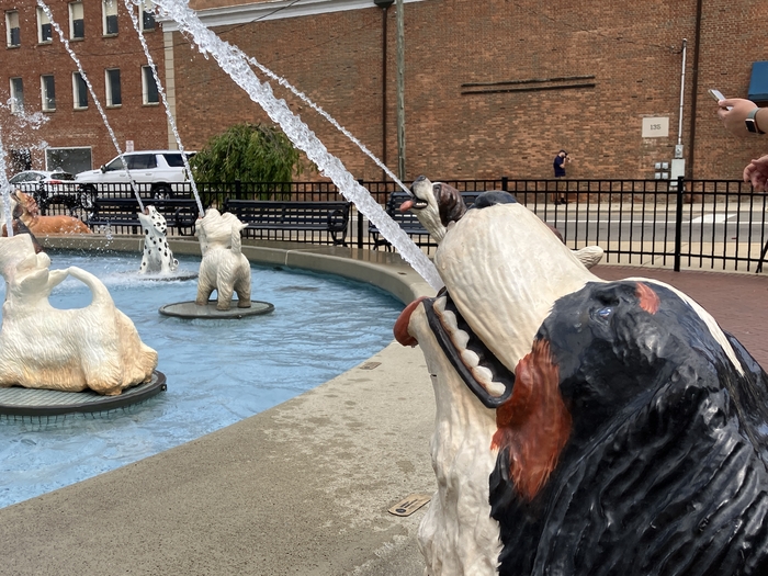 Dog Fountain