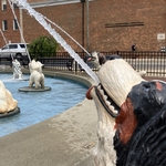 Dog Fountain