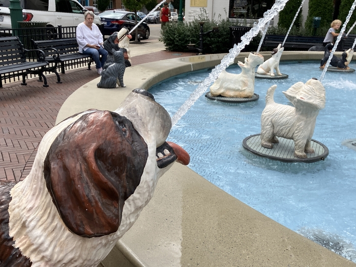 Dog Fountain