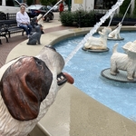 Dog Fountain