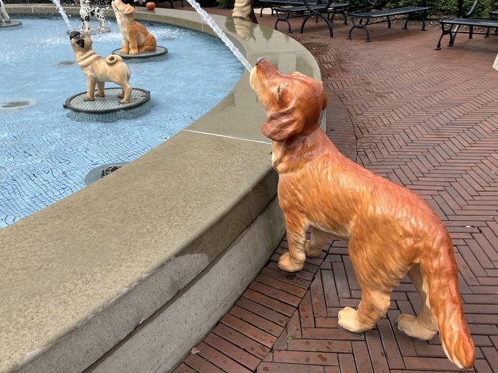 Dog Fountain