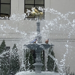 Dog Fountain
