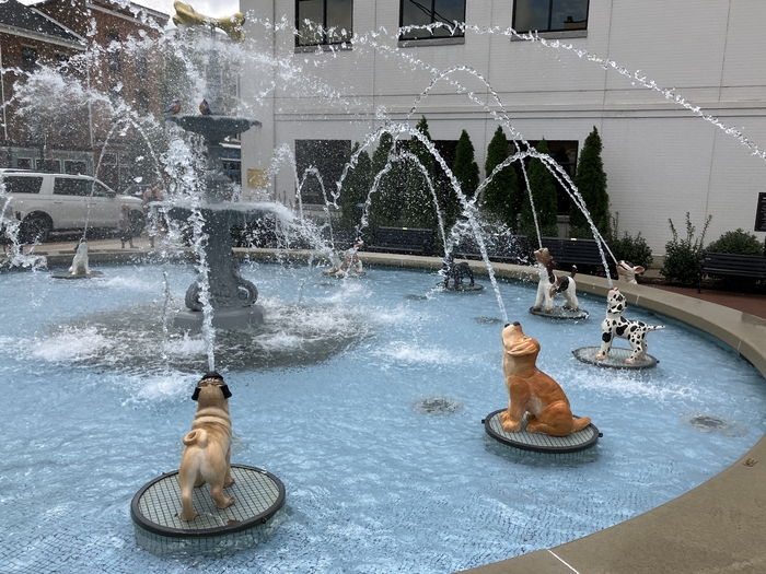 Dog Fountain