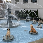 Dog Fountain
