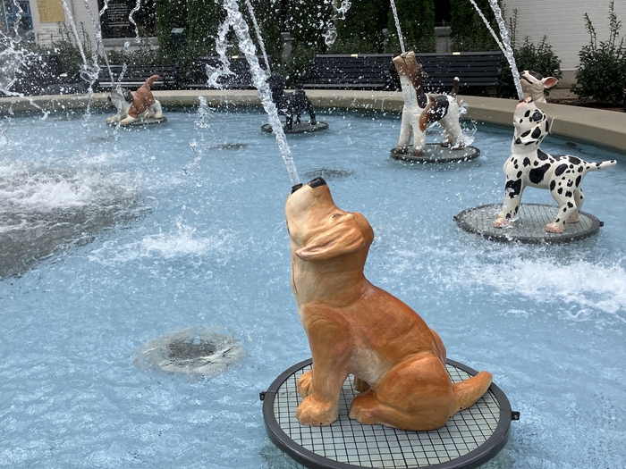 Dog Fountain