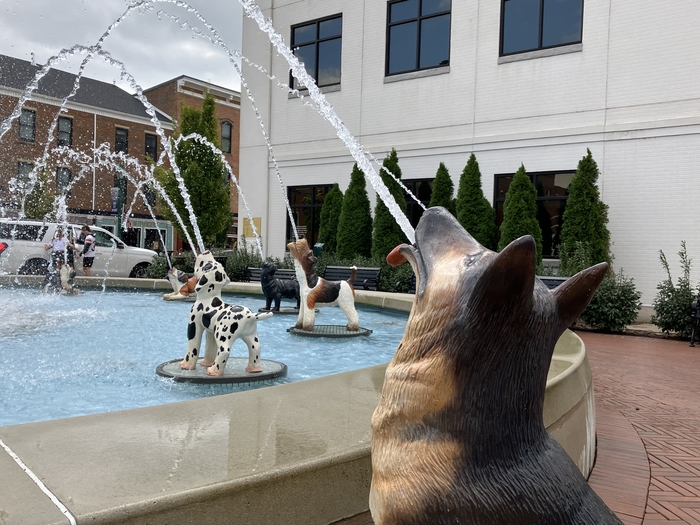 Dog Fountain