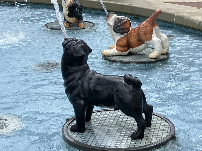 Dog Fountain