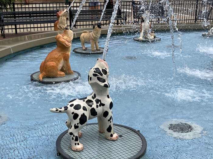 Dog Fountain