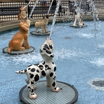 Dog Fountain