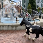 Dog Fountain