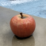 Dog Fountain