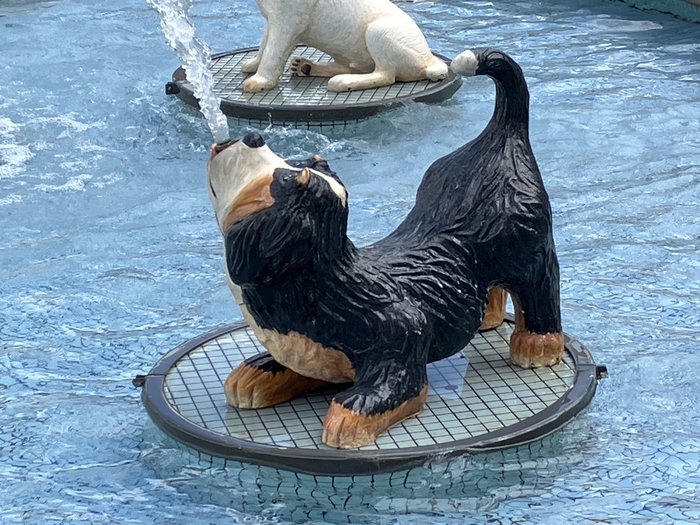 Dog Fountain