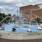 Dog Fountain
