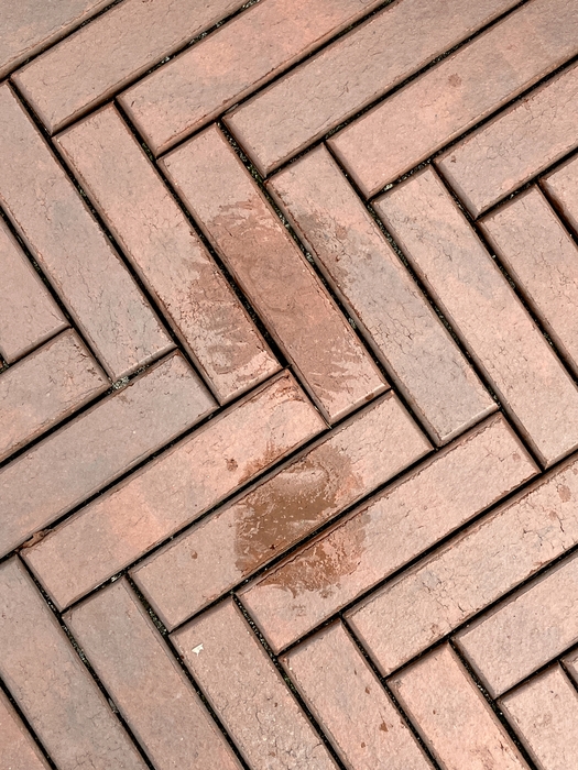My Footprint