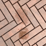 My Footprint